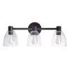 Kenroy Home Edis 3-Light Glass Vanity Light