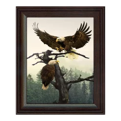 Personal-Prints Eagle Couple Framed Behind Glass Wall Art