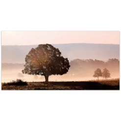 Empire Art Direct Plain View Glass Wall Art