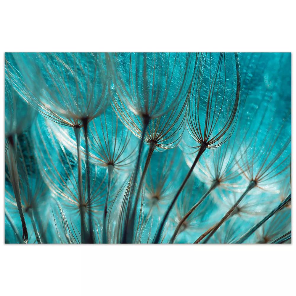 Empire Art Direct Dandelion Glass Wall Art