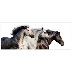 Empire Art Direct Trilogy 1 Horse Glass Wall Art