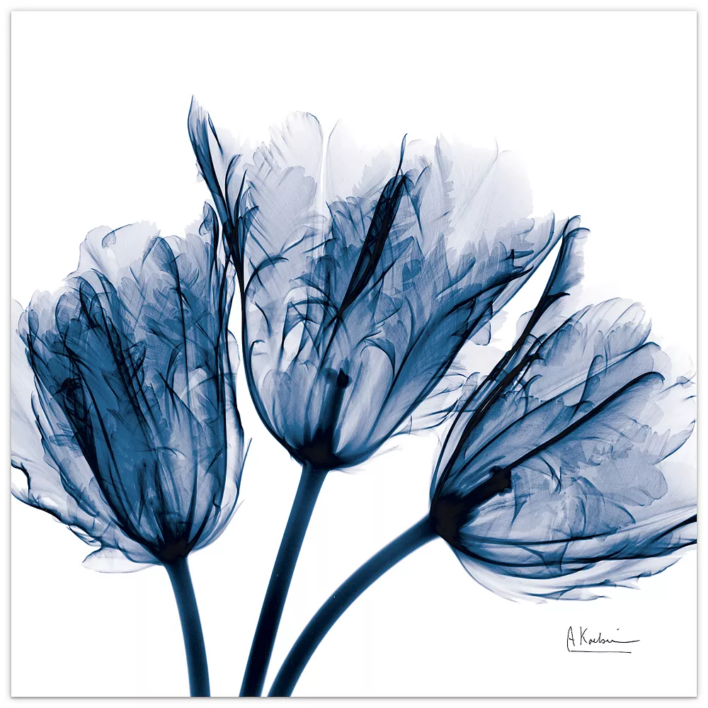Empire Art Direct Blue Tulip X-Ray Glass Wall Art