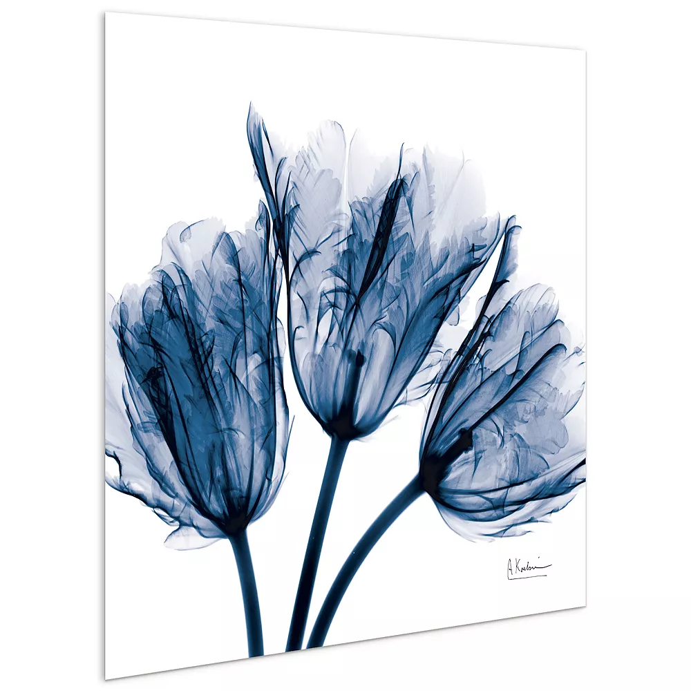 Empire Art Direct Blue Tulip X-Ray Glass Wall Art - Image 3