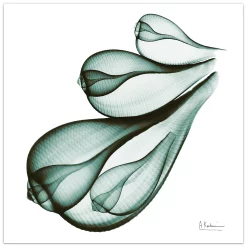 Empire Art Direct Coastal Serenity I Glass Wall Art