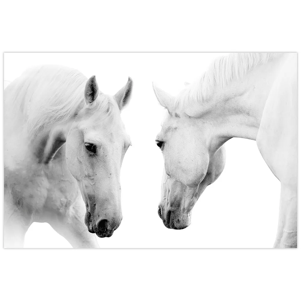 Empire Art Direct Reflection Horse Glass Wall Art