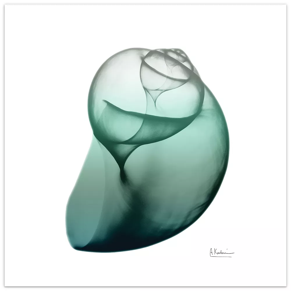 Empire Art Direct Shimmering Snail I Glass Wall Art