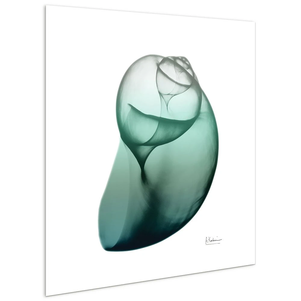 Empire Art Direct Shimmering Snail I Glass Wall Art - Image 2