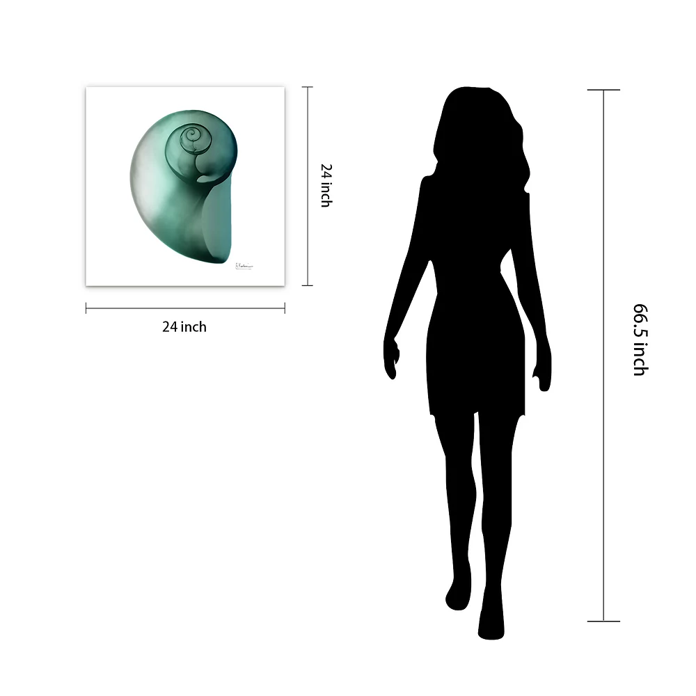 Empire Art Direct Shimmering Snail II Glass Wall Art - Image 5