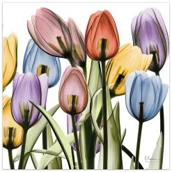 Empire Art Direct Tulip X-Ray Glass Wall Art