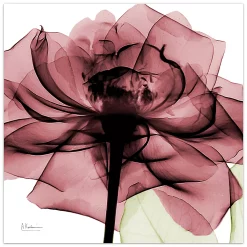 Empire Art Direct Chianti Rose II Glass Wall Art