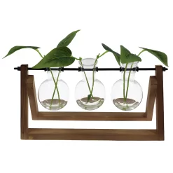 Sonoma Goods For Life® Faux Botanicals In Glass Bottles Table Decor