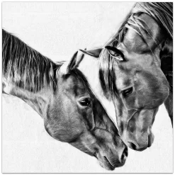 Empire Art Direct Kindred Colts Tempered Frameless Glass Wall Art