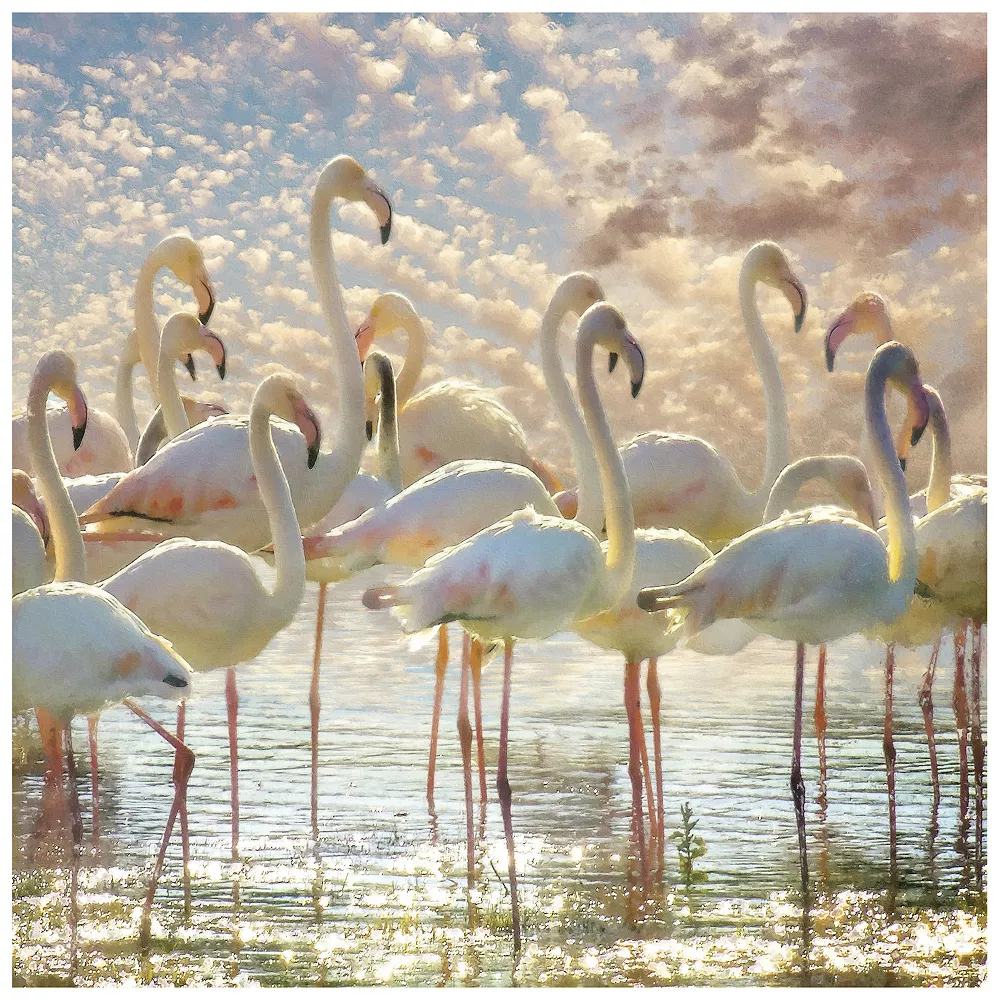 Empire Art Direct Flamingo Flair Tempered Frameless Glass Wall Art