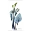 Empire Art Direct Calia Lily Tempered Frameless Glass Wall Art