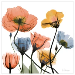 Empire Art Direct Flowers And Ferns Tempered Frameless Glass Wall Art