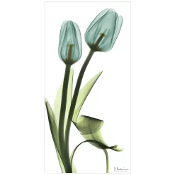 Empire Art Direct Blue Tulips Tempered Frameless Glass Wall Art