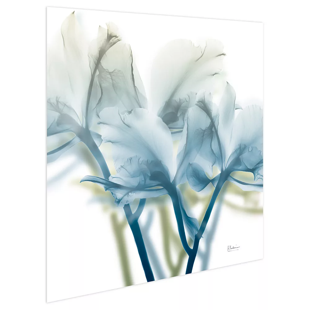 Empire Art Direct Unfocused Beauty 3 Tempered Frameless Glass Wall Art - Image 2