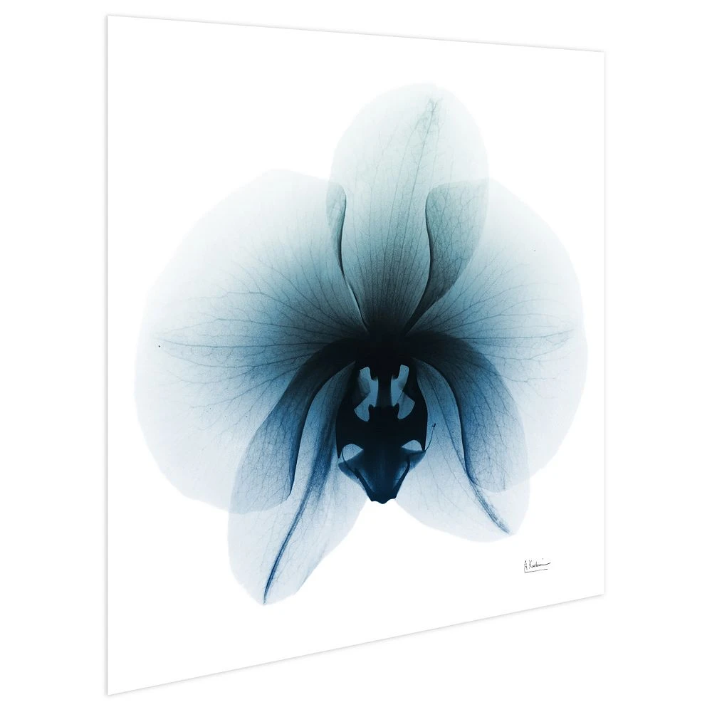 Empire Art Direct Glacial Orchid Tempered Frameless Glass Wall Art - Image 3