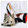 Empire Art Direct "Red Soles" Frameless Free-Floating Tempered Glass Panel Graphic Wall Art