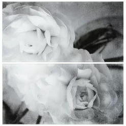 Empire Art Direct "Dark Ranunculus I AB" Frameless Free-Floating Tempered Glass Panel Graphic Wall Art 2-Piece Set