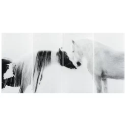 Empire Art Direct "Collection Of Horses III ABCD" Frameless Free-Floating Tempered Glass Panel Graphic Wall Art 4-Piece Set