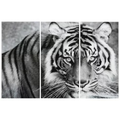 Empire Art Direct Tiger ABC Glass Wall Art 3-piece Set